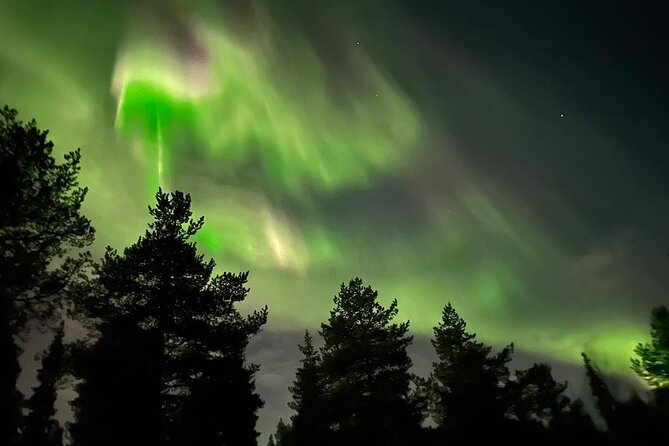 Northern Light hunt with minibus to Abisko 7:30 pm - Guides, photography, and the human side