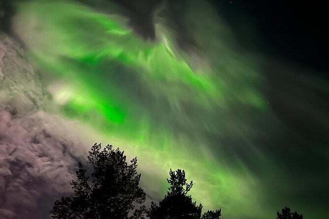 Northern Light hunt with minibus to Abisko 7:30 pm - Staying warm in the Arctic night