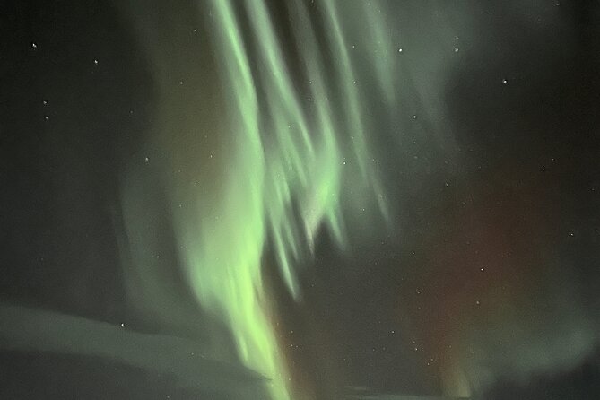 Northern Light hunt with minibus to Abisko 7:30 pm - Is $253 fair value?
