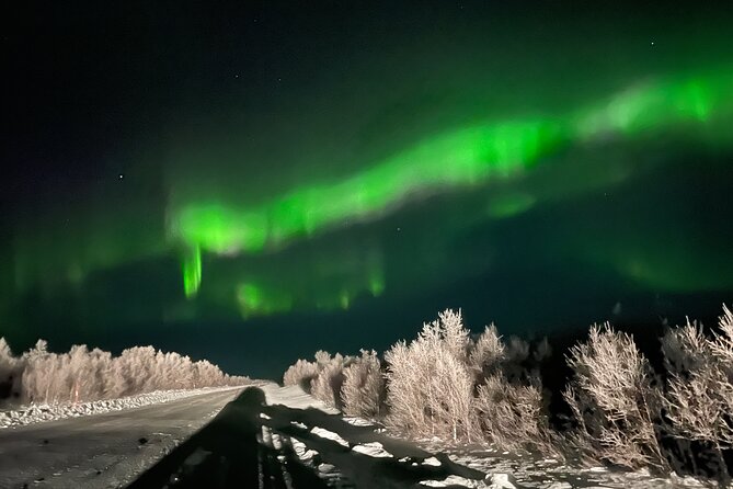 Northern Light hunt with minibus to Abisko 7:30 pm - How the aurora search really works