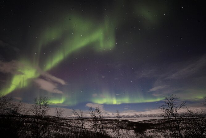 Northern Light Photo tour - Who should book this aurora outing?