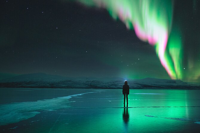 Northern Lights Photo Expedition Dinner Included from Abisko - Key points at a glance