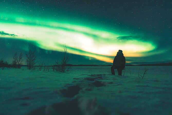 Northern Lights Photo Expedition Dinner Included from Abisko - What the photography support is really worth