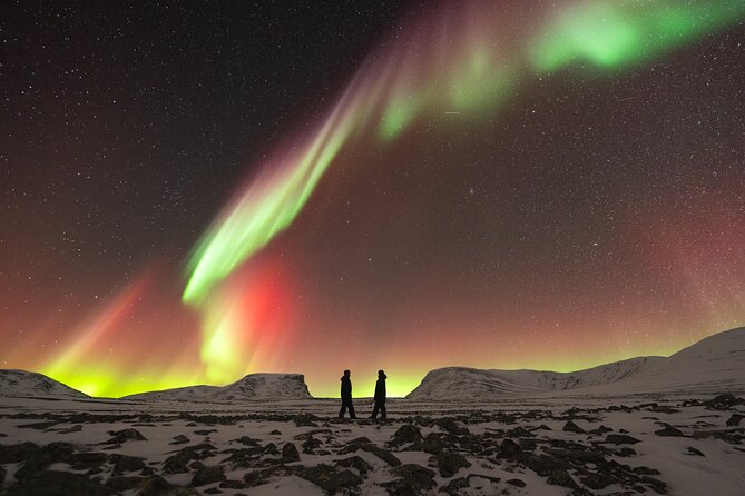 Northern Lights Photo Expedition Dinner Included from Abisko - Timing, clothing, and practical planning