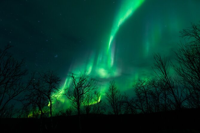 Northern Lights Tour from Kiruna to Abisko with Dinner - Key points to know before booking