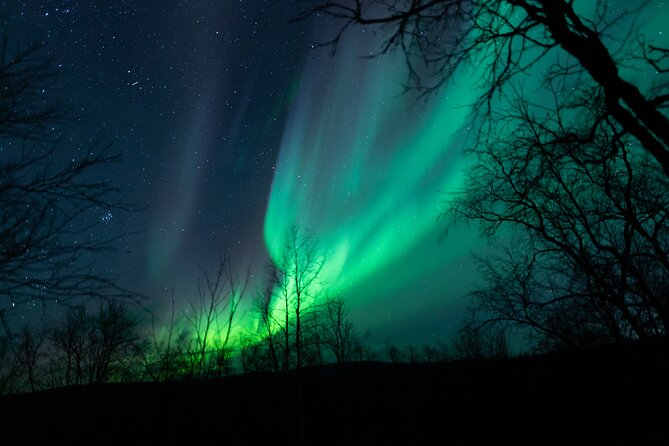 Northern Lights Tour from Kiruna to Abisko with Dinner - Why the Kiruna to Abisko drive matters