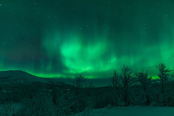 Northern Lights Tour from Kiruna to Abisko with Dinner - How the aurora hunt really works