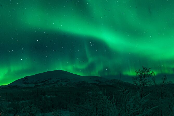 Northern Lights Tour from Kiruna to Abisko with Dinner - Group size and the booking details that need checking