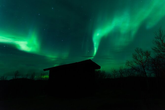 Northern Lights Tour from Kiruna to Abisko with Dinner - Who will get the most from this tour