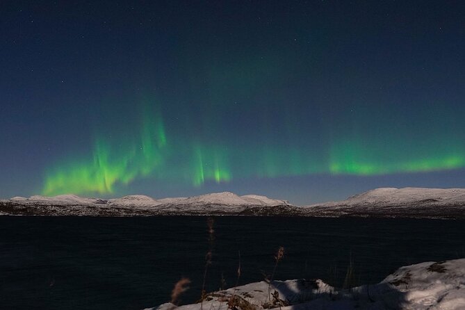 Northern Lights Tour from Kiruna to Abisko with Dinner - Is $278.79 a fair price?