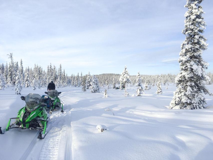 Polar Nature Tour on Snowmobile - The 30-minute snowmobile lesson