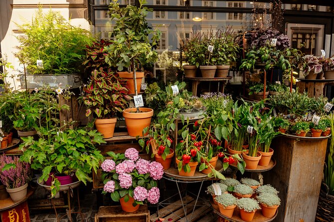 Private 90-Minute Walking Tour in Stockholm - Starting at Stortorget