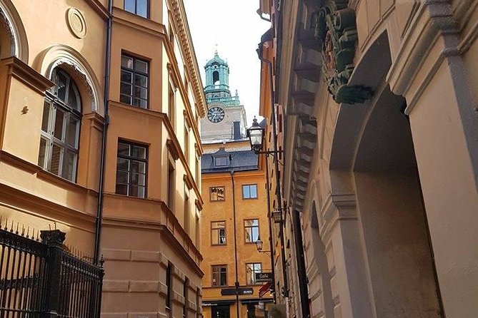 Private Car Tour of Stockholm with a Live guide, including the Vasa museum. - Who gets the best value
