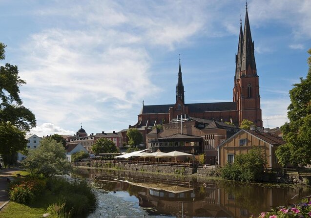 Private Day Tour to Uppsala - Uppsala Cathedral, Viking Burials and countryside - Key points to know before booking