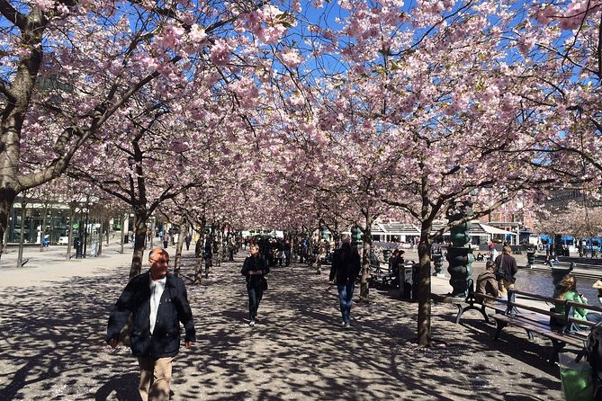 Private full day VIP city tour by limousine car in Stockholm - From Södermalm’s old working roots to modern Norrmalm