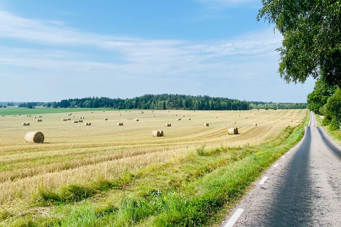 Private Roadbike Adventure in Stockholm - Who will enjoy this experience most