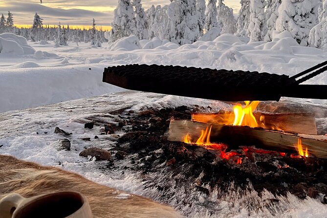 Private snowmobile day tours - The final call: a strong choice for a full Arctic outing