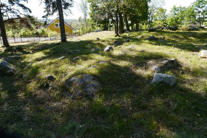 Private Tour: 3h Viking History from Stockholm to Runic Kingdom - What the private format adds