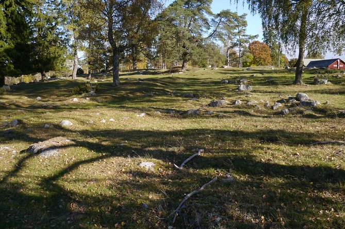 Private Tour: Swedish History Day Trip to World Heritage Candidate Markim-Orkesta from Stockholm - Vallentuna Church and the first runestones