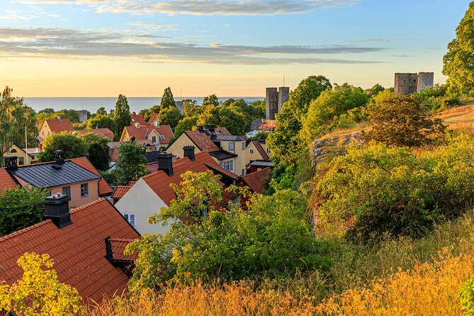 Private Walking Tour of Visby with Cathedral and Gardens - A compact introduction to medieval Visby