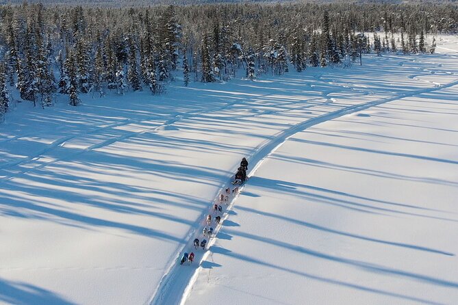 Sit Down Husky Ride Dog Sled Tour in Kiruna - Practical advice before you book