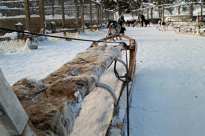 Sit Down Husky Ride Dog Sled Tour in Kiruna - Should you book the Sit Down Husky Ride?