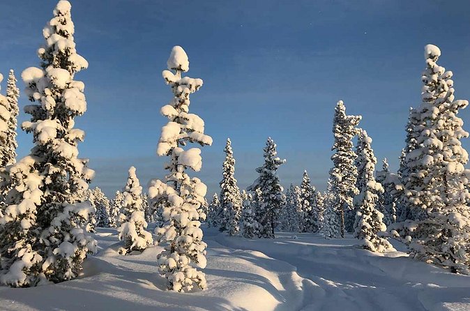 Snowmobile Arctic Adventure - Clothing, glasses, and physical demands