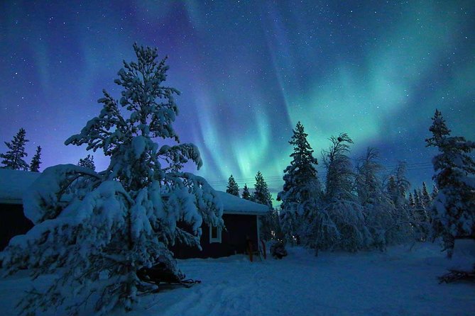 Snowmobile Aurora Expedition with dinner - Through the forest, over ice, and along the river