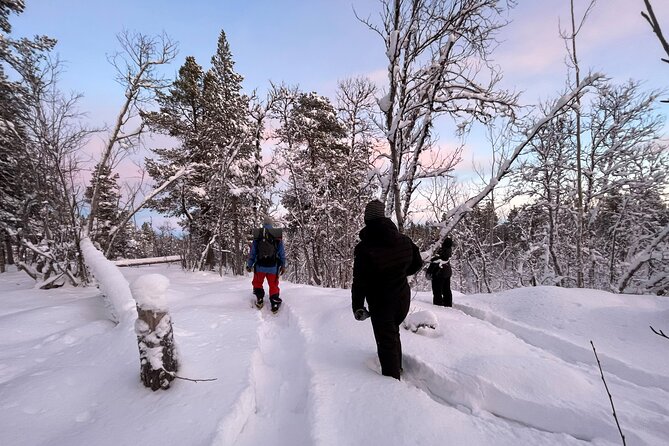 Snowshoe in a Winter Forest - Key points to know before booking
