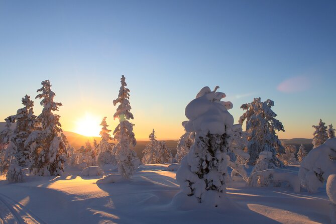 Snowshoe in a Winter Forest - What to wear for a cold, slow-moving activity