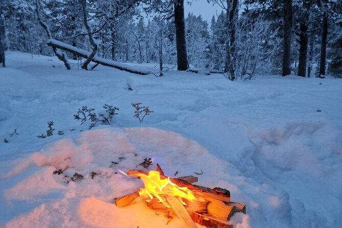 Snowshoe in a Winter Forest - Is $146.65 a fair price?