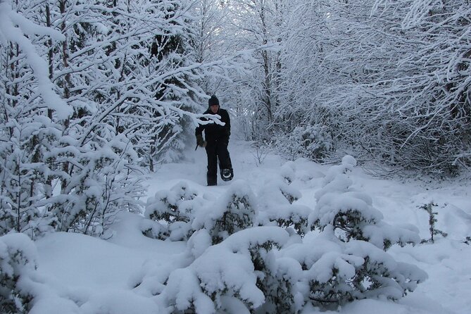 Snowshoe in a Winter Forest - Reading tracks instead of chasing wildlife