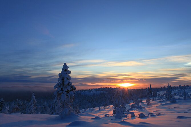 Snowshoe up a Mountain - Why snowshoe above Kiruna’s tree line