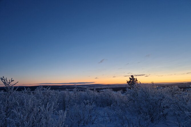 Snowshoe up a Mountain - Berry juice, photos, and Arctic light at the top
