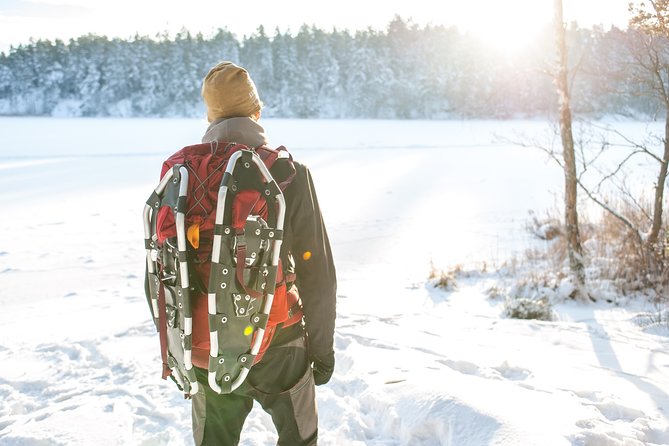 Snowshoe Winter Hike from Stockholm - Leaving Stockholm for a Swedish winter forest