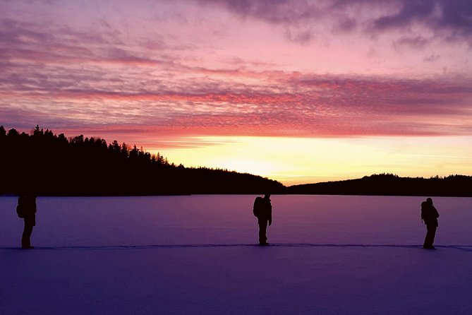 Snowshoe Winter Hike from Stockholm - Your first lesson: snowshoes, cleats, and forest manners