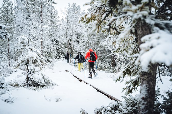 Snowshoe Winter Hike from Stockholm - Frozen lakes add the day’s boldest moment