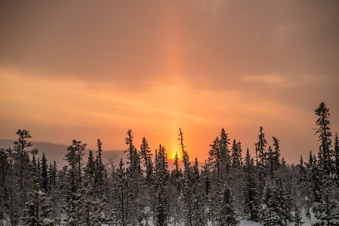 Snowshoe Winter Hike from Stockholm - Is $191.34 a fair price?