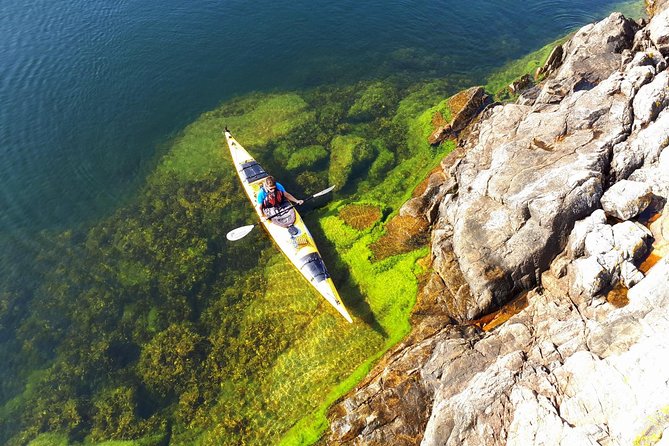 Stockholm Archipelago Kayaking Day Tour - Key details before you book