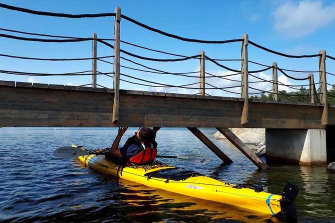 Stockholm Archipelago Kayaking Day Tour - A Swedish lunch on an out-of-the-way island