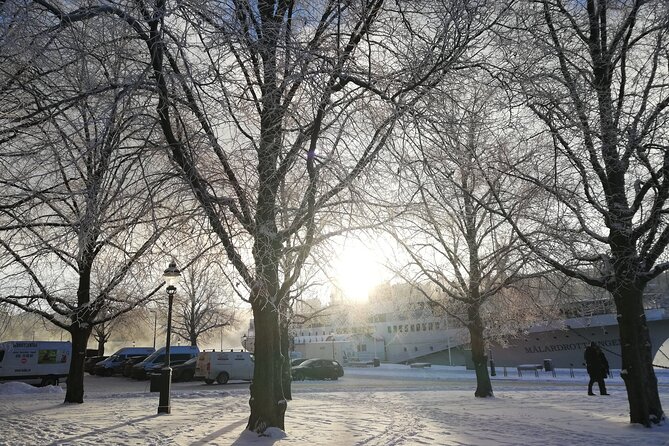 Stockholm Christmas Tour and Food Tasting Experience - Kungsträdgården, glögg, gingerbread, and ice skating
