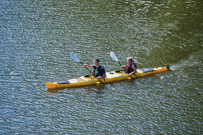 Stockholm City Evening Kayak Tour - Is $169.01 a fair price?