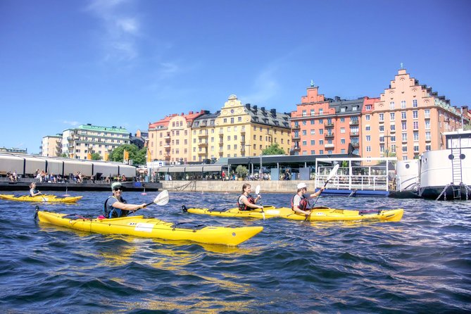 Stockholm City Kayak Tour - Summer or winter: choosing the right version
