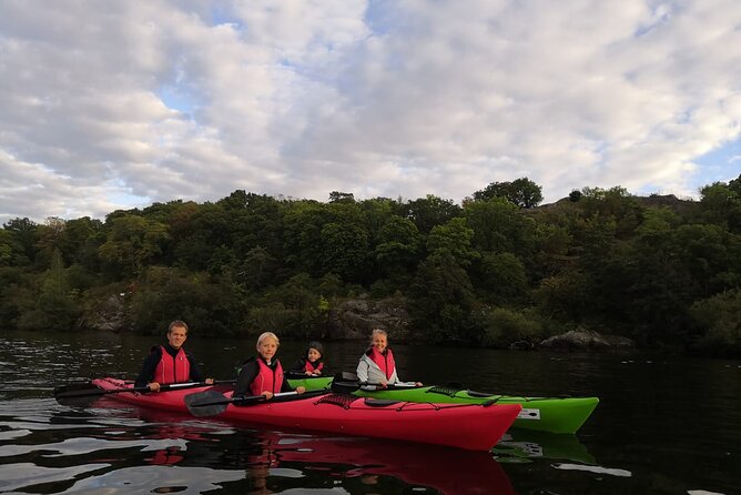 Stockholm Evening Kayak with BBQ - Small Group - Who should book this Stockholm kayak experience