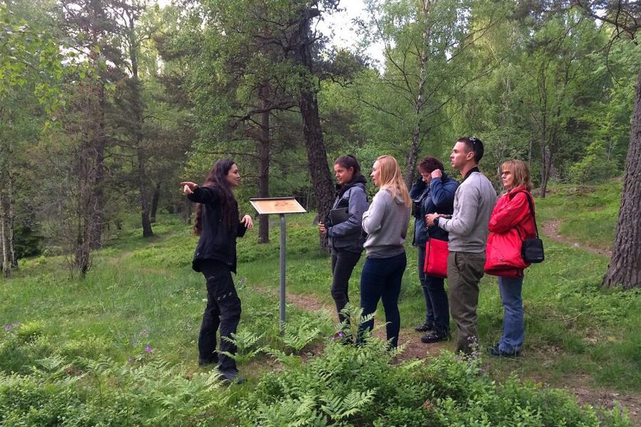 Stockholm: Evening Wildlife Safari with Midsummer Meal - Should you book the Stockholm wildlife safari?