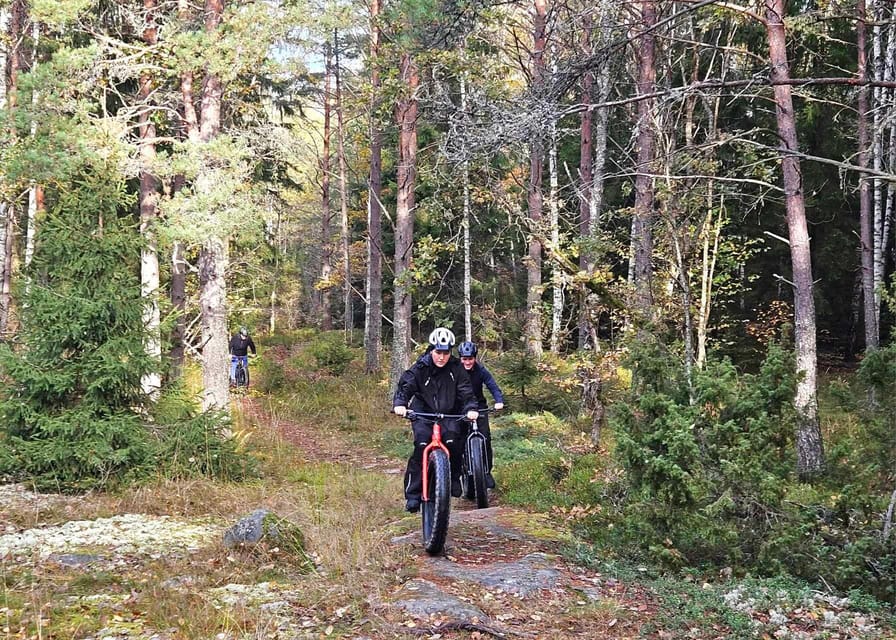 Stockholm: Fat Bike Forest Adventure with Lunch and Sauna - A hot lunch with a view of the water