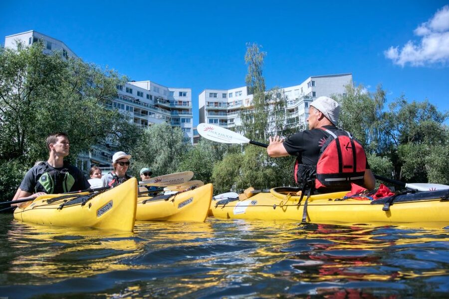 Stockholm: Guided Kayak City Tour & Optional Midsummer Meal - What the $76 price gets you