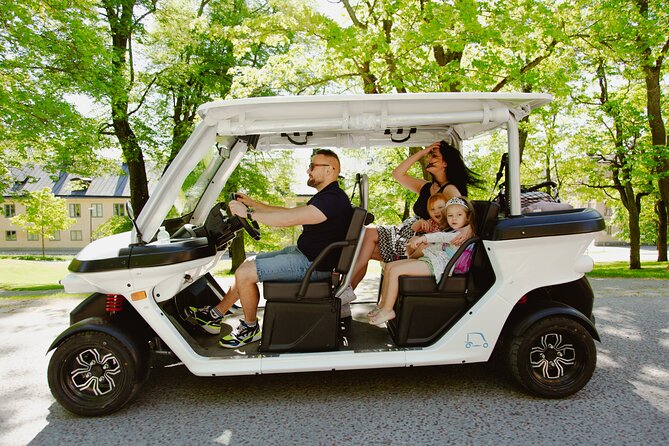 Stockholm Highlights: Private Golf Cart Tour - Monteliusvägen: five minutes with a wide view