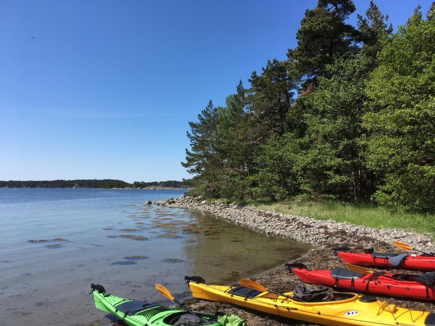 Stockholm: Morning Kayak Tour in the Archipelago with Lunch - What the guide adds to the day