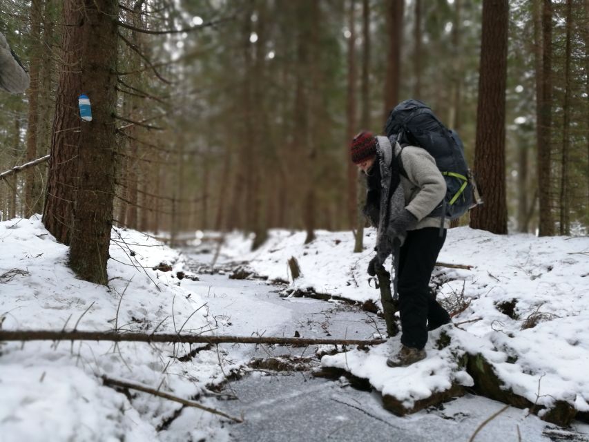 Stockholm: Nature Hike with Campfire Lunch - What the seven-hour hike feels like